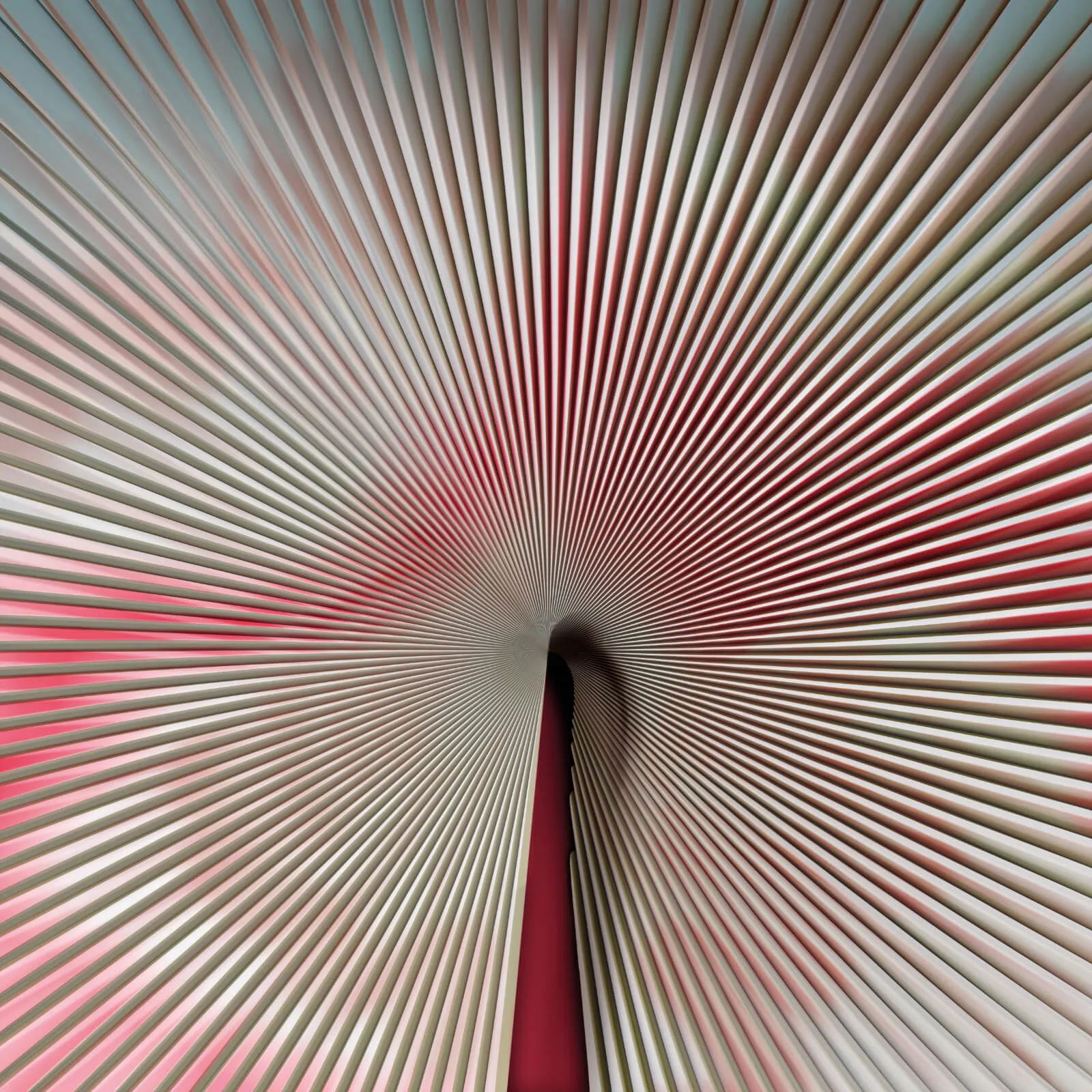 Trussardi Casa 7 Z18989