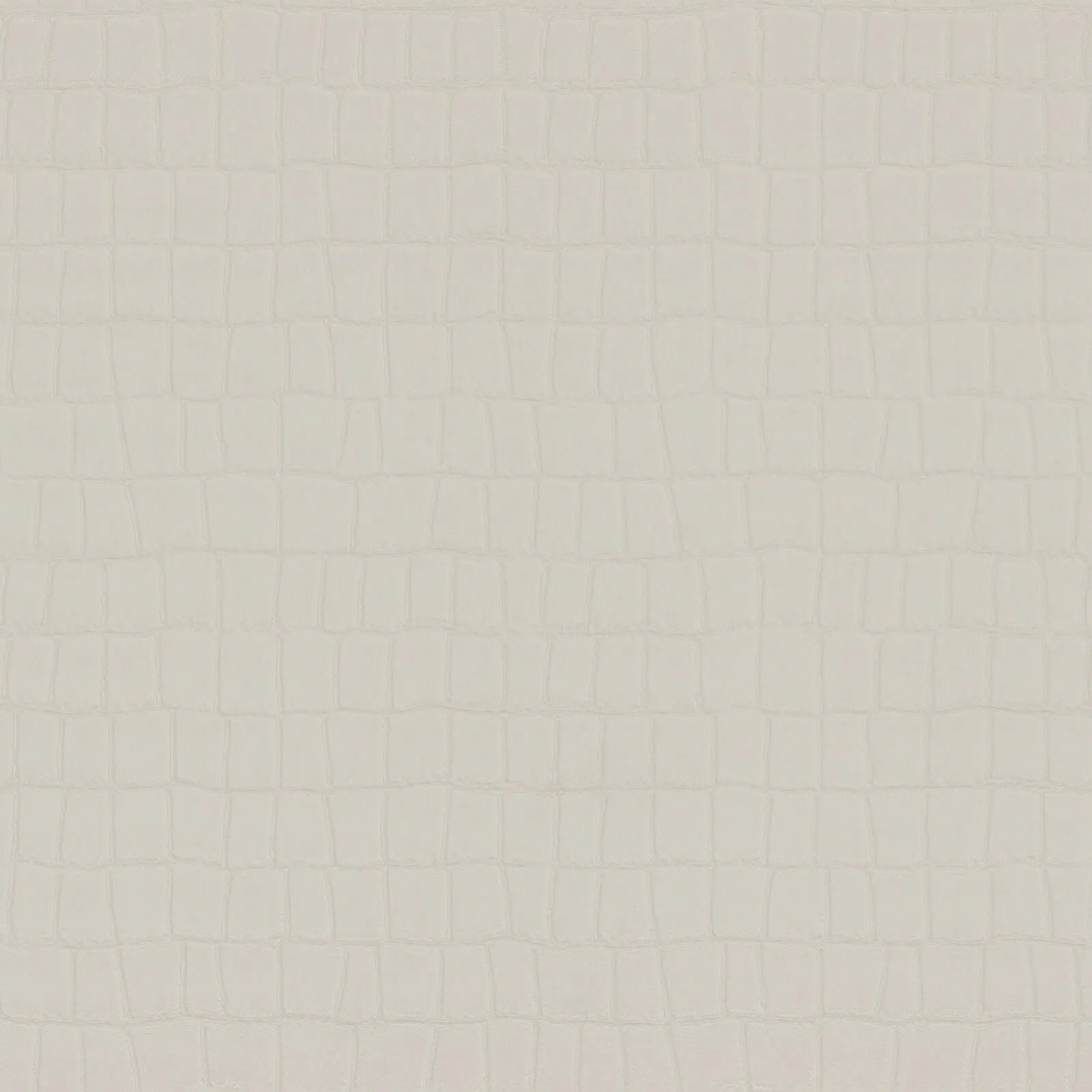 Philipp Plein Z80029