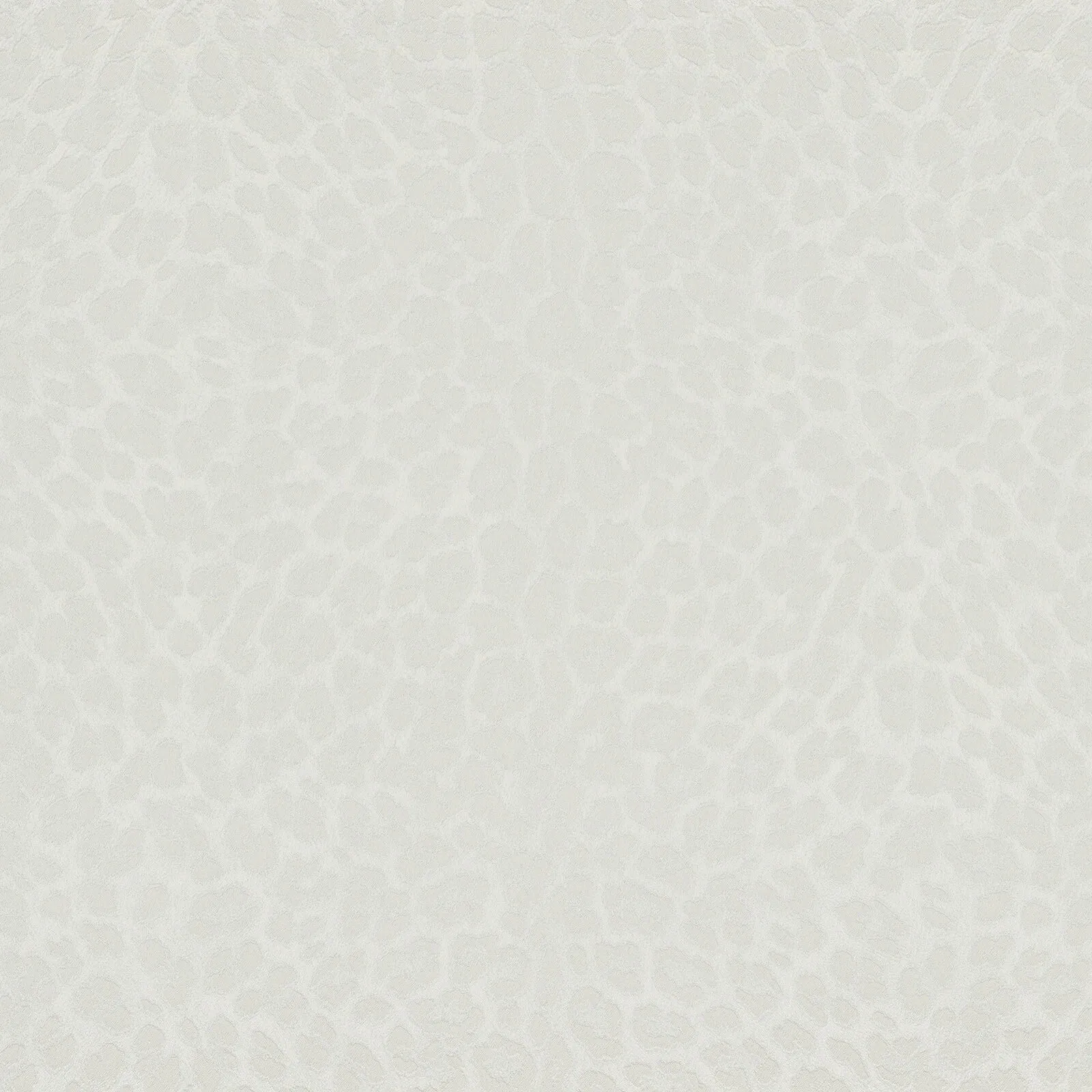 Philipp Plein Z80038