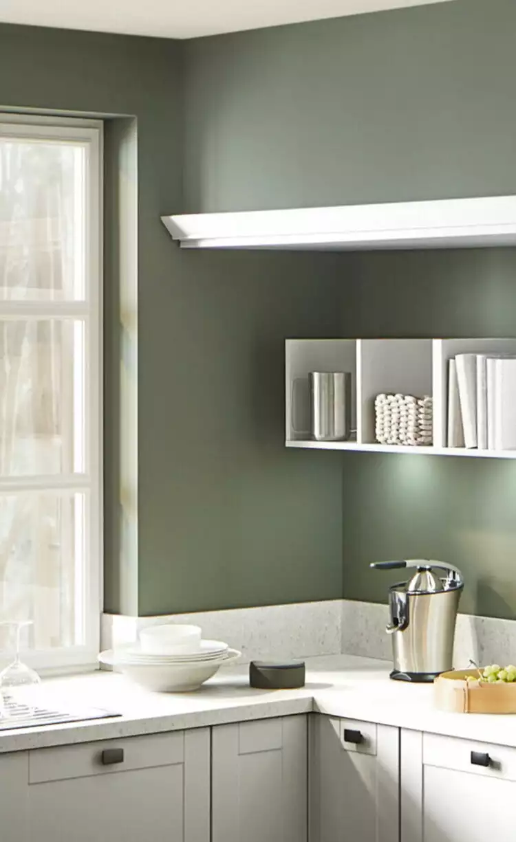 【經典奶白】| 適用:符騰堡