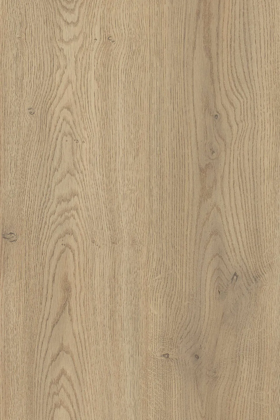 K2738 Torro Cremona Oak