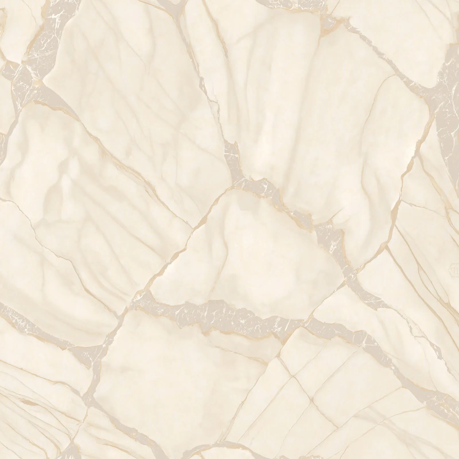 Philipp Plein Z81038