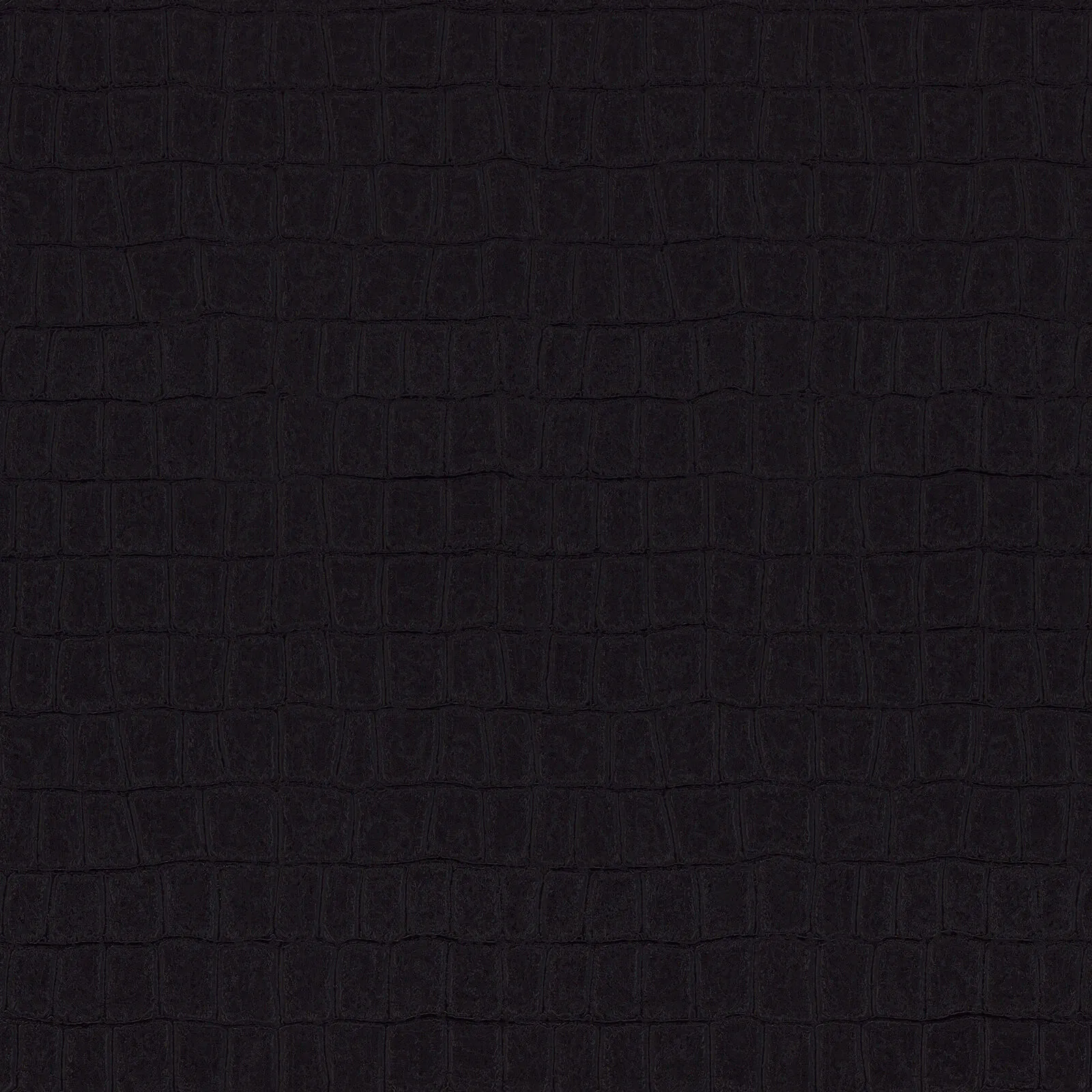 Philipp Plein Z80029