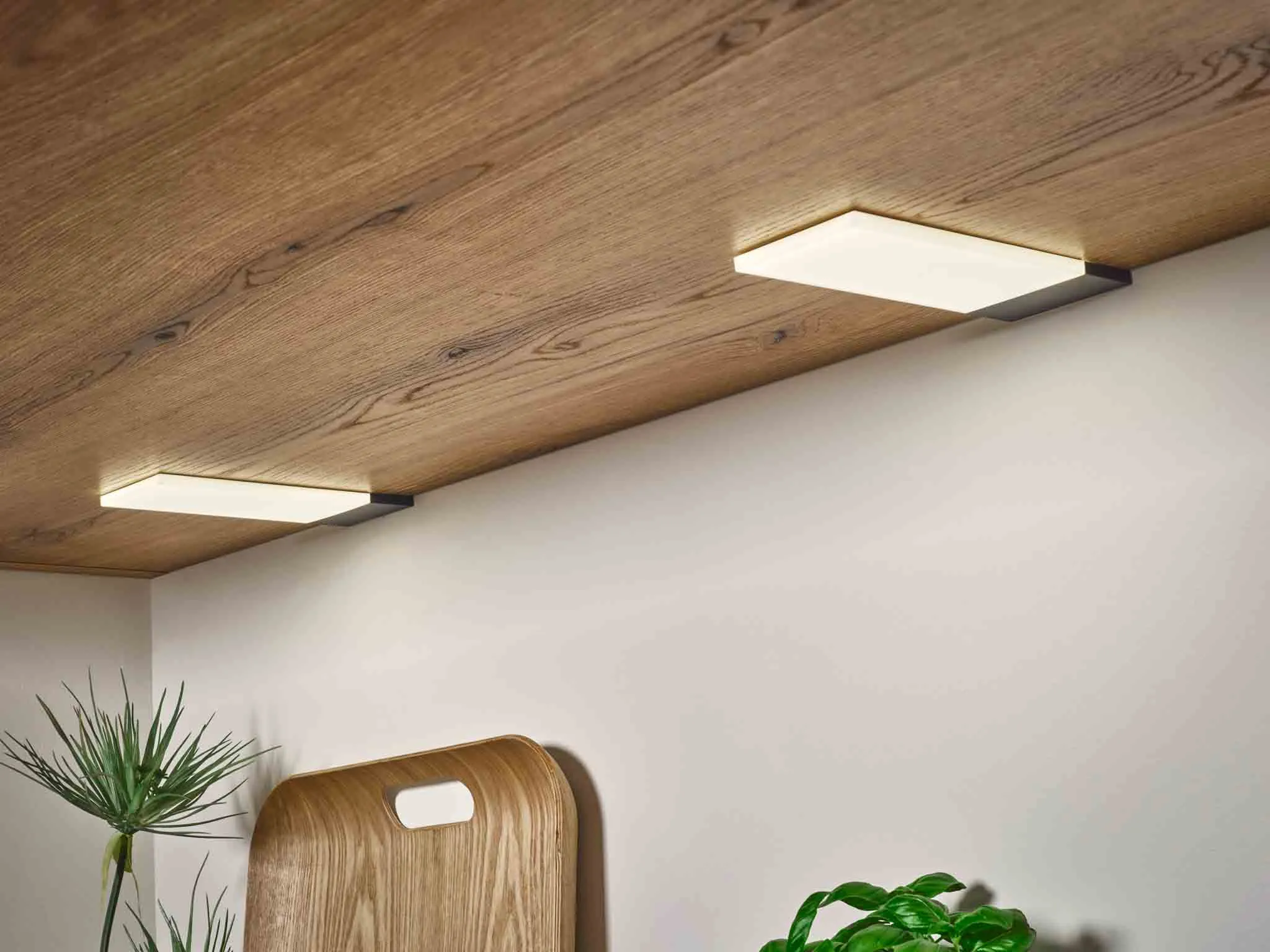 【木墨學廚】| 適用:黑森