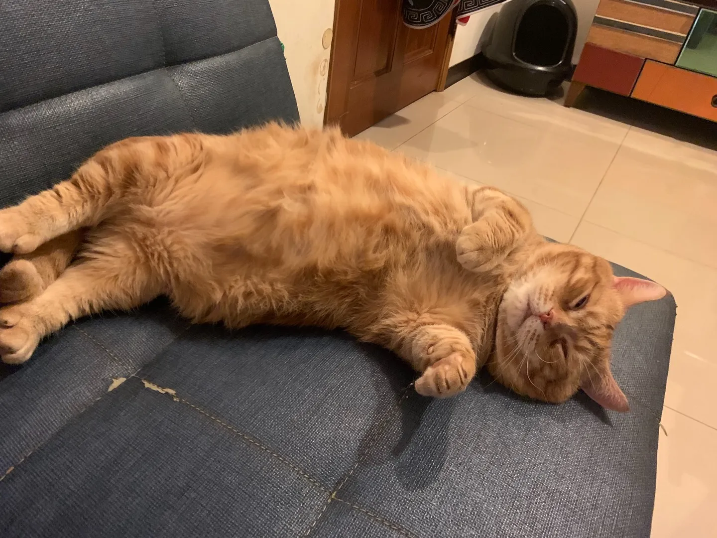 其實問題不在你，而是⋯⋯祖先？