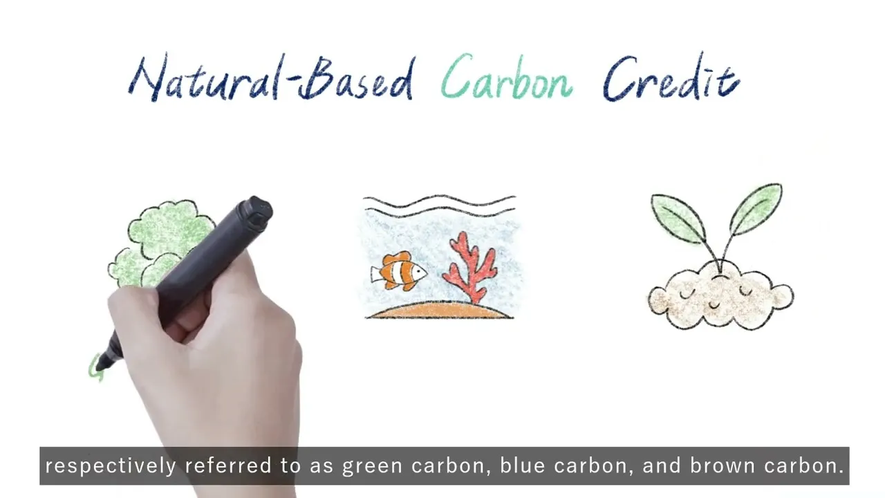 奇美碳權 英文版