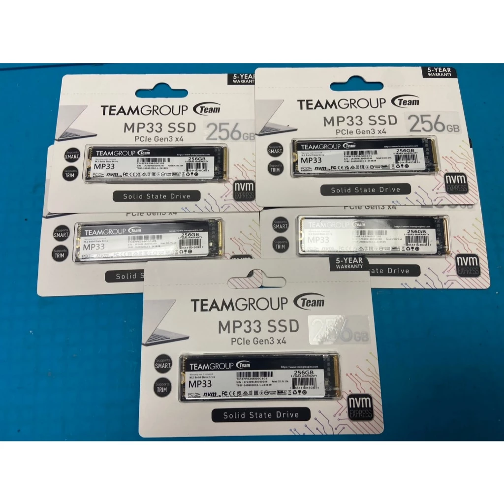 TEAM 十銓 MP33 256G M.2 PCIe Gen3 x4 固態硬碟