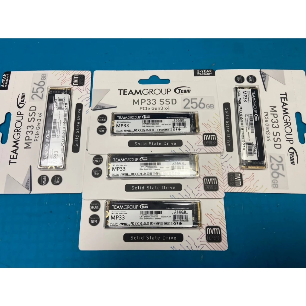 TEAM 十銓 MP33 256G M.2 PCIe Gen3 x4 固態硬碟
