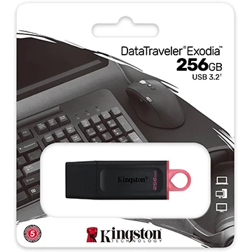 Kingston 金士頓 DTX 256G USB 3.2 隨身碟