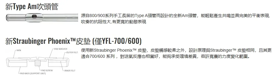 專業級長笛