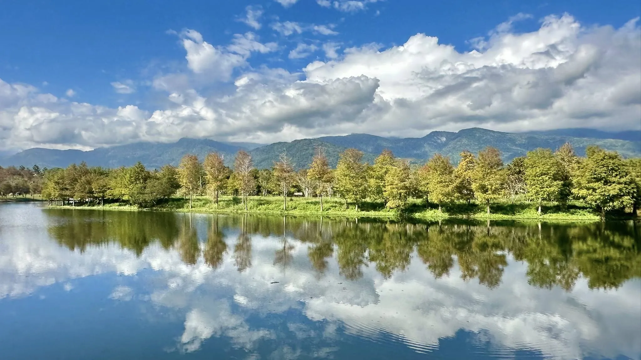 許久沒到花蓮，一踏上這片土地，熟悉的山海又悄悄迎上來。