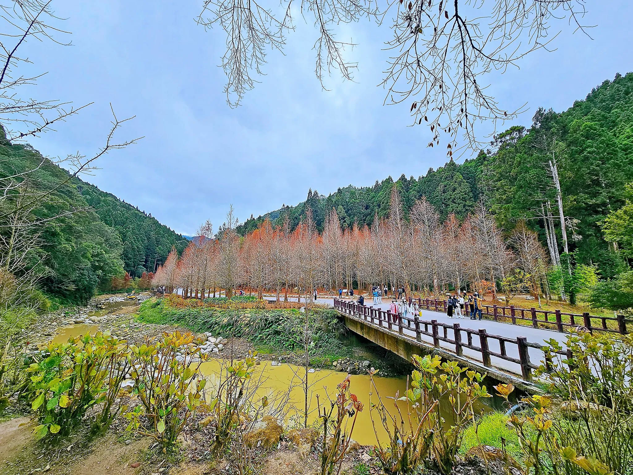 新加坡的老朋友小姚大哥，又來台灣啦！
