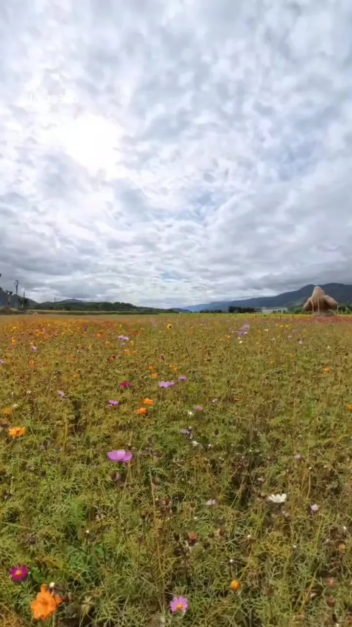 帶著千歲團到台東