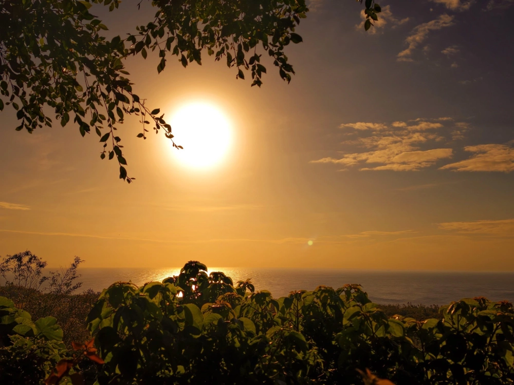 台灣最熱情的海岸｜香港客人劉小姐｜包車旅遊推薦