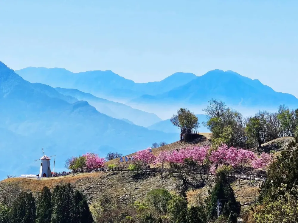 中部旅遊