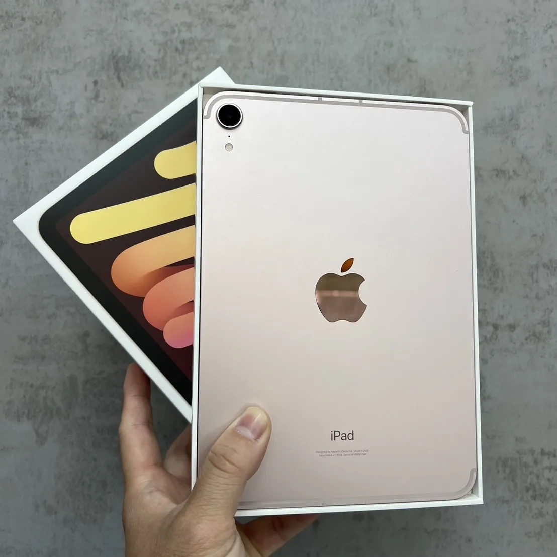 iPad mini6 64G Lte 粉