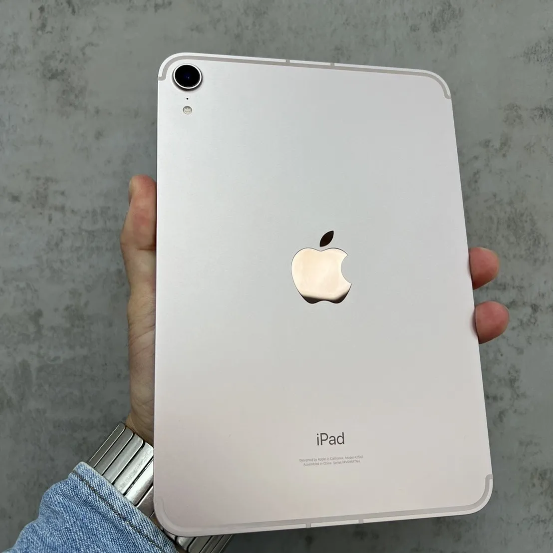 iPad mini6 64G Lte 粉
