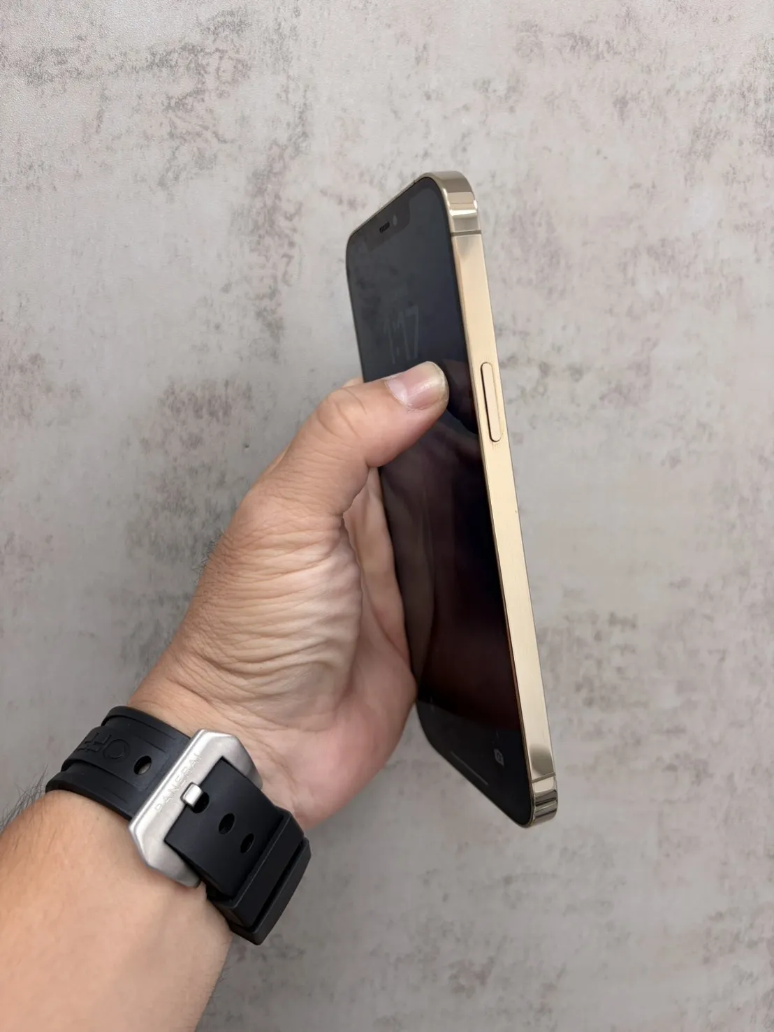 12 Pro Max 256G 金 副廠電池 100 %