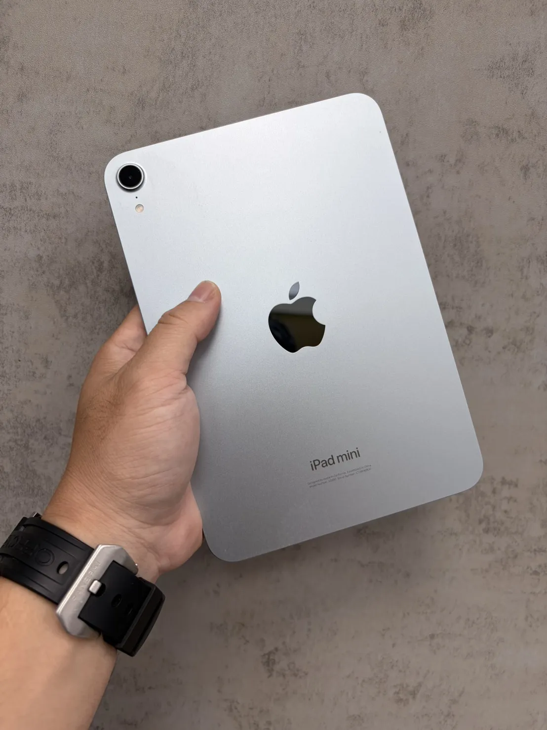 iPad Mini 7 128G WiFi 藍 電池 100 %