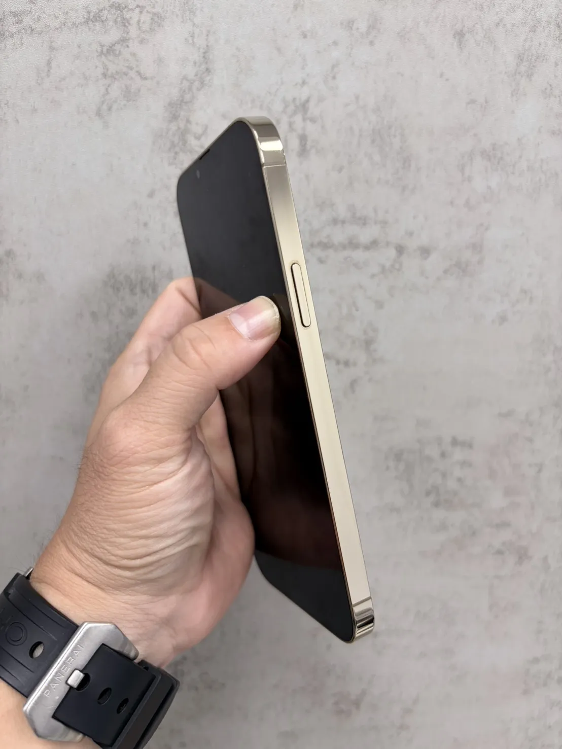 13 Pro Max 256G 金 電池 80 %