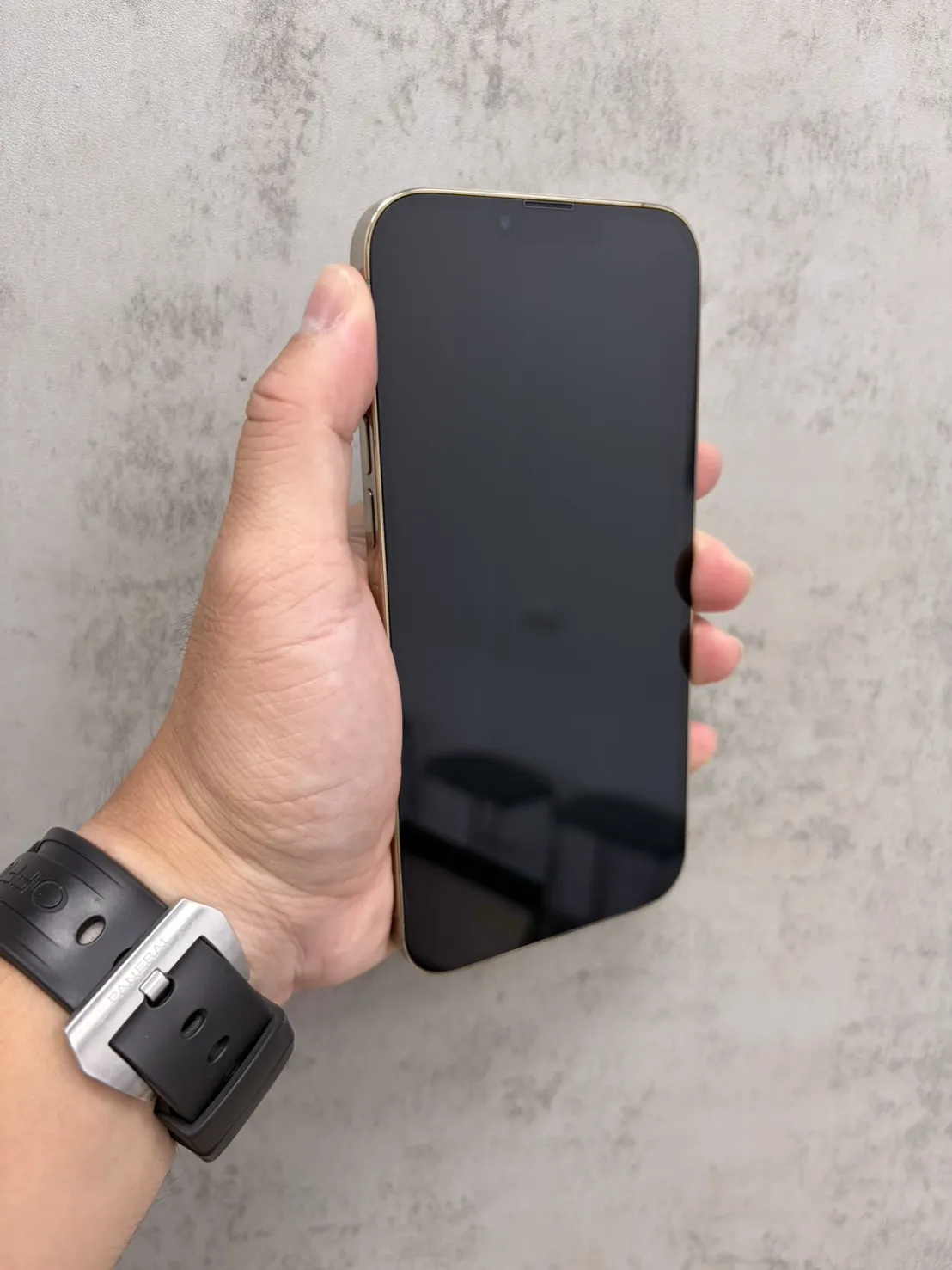 13 Pro Max 256G 金 副廠電池 100 %