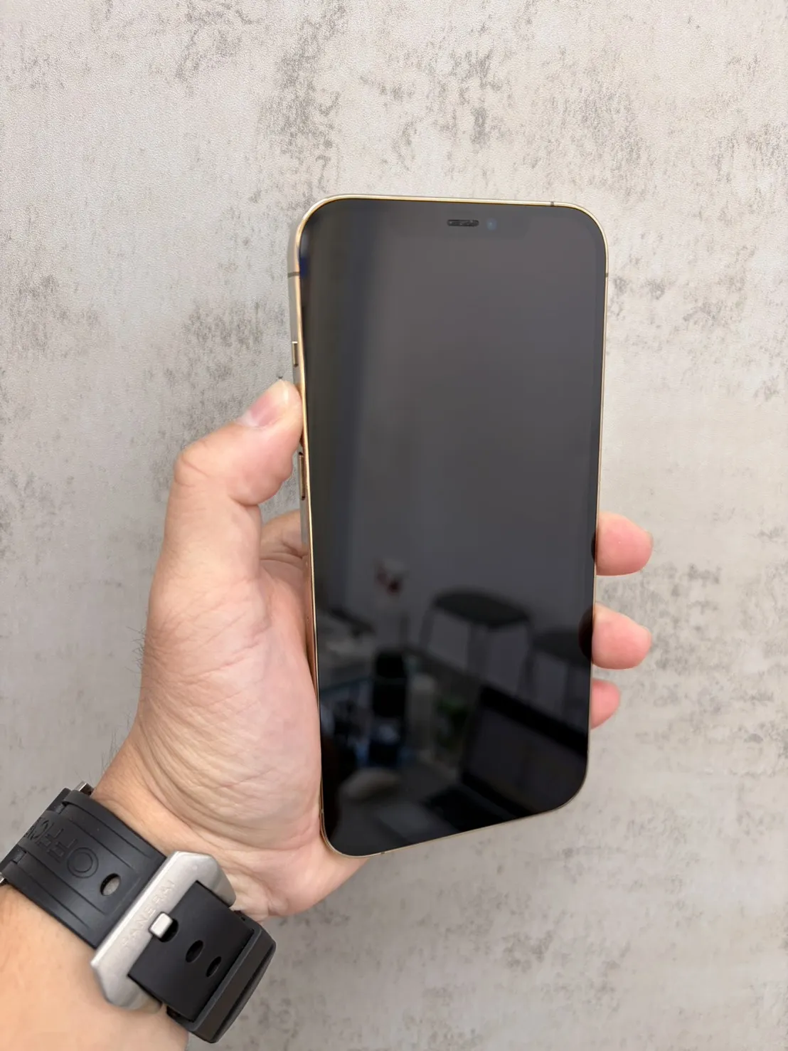 12 Pro Max 256G 金 副廠電池 100 %