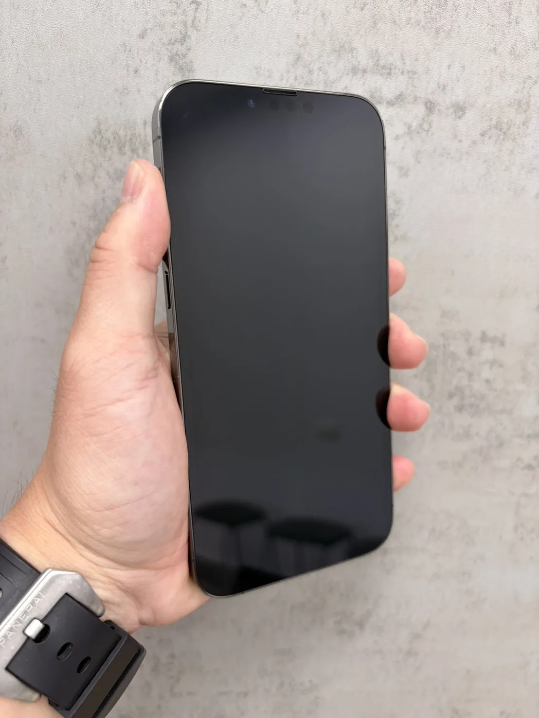 13 Pro Max 256G 黑 電池100% #13