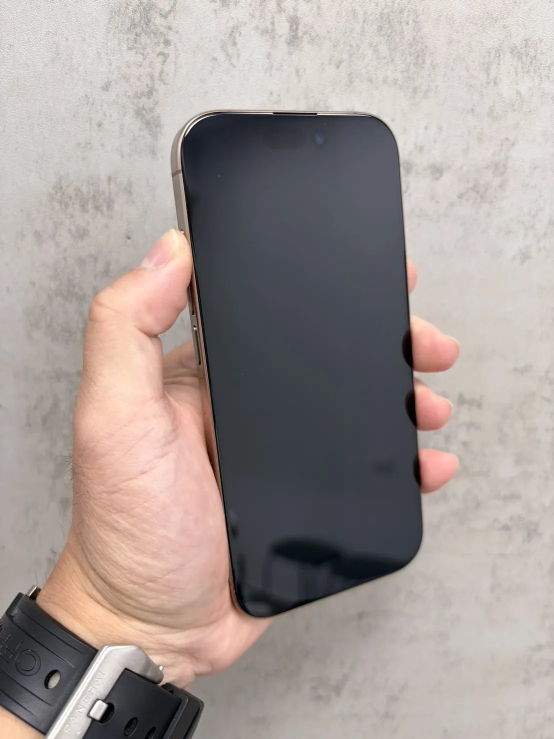 16 Pro 256G 金 電池 94 %