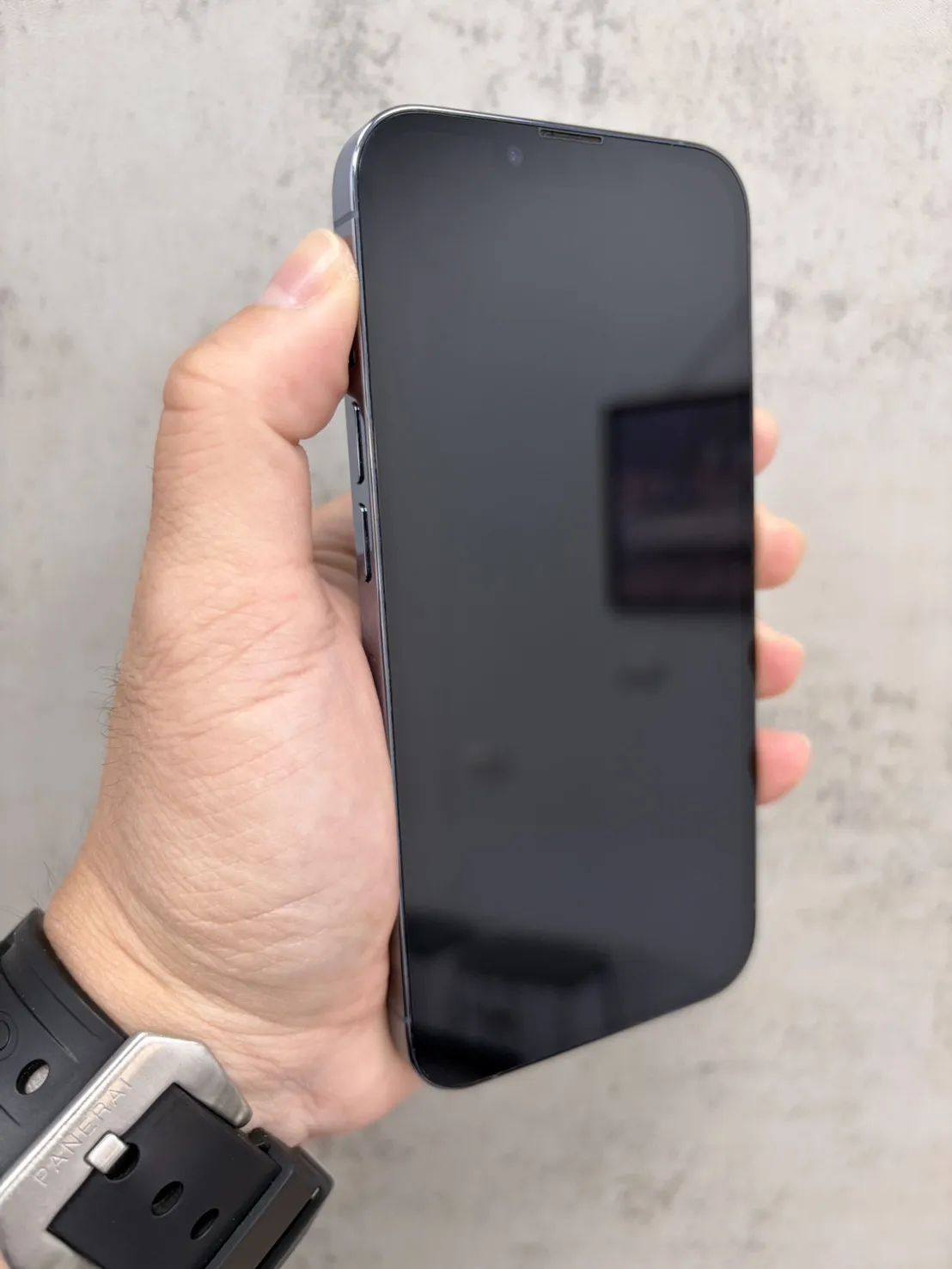 13 Pro 256G 藍 電池 74 %