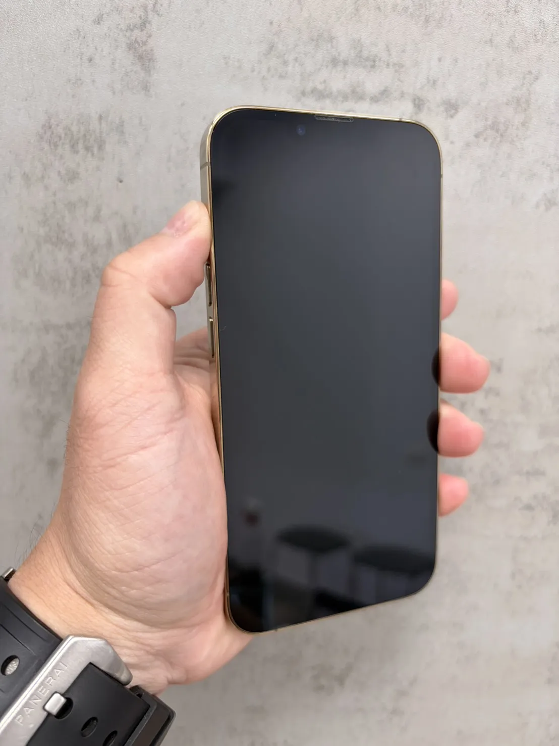 13 Pro 256G 金 電池89% #86