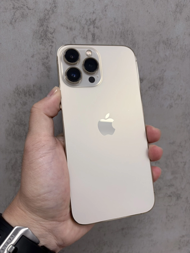 13 Pro Max 256G 金 電池 80 %