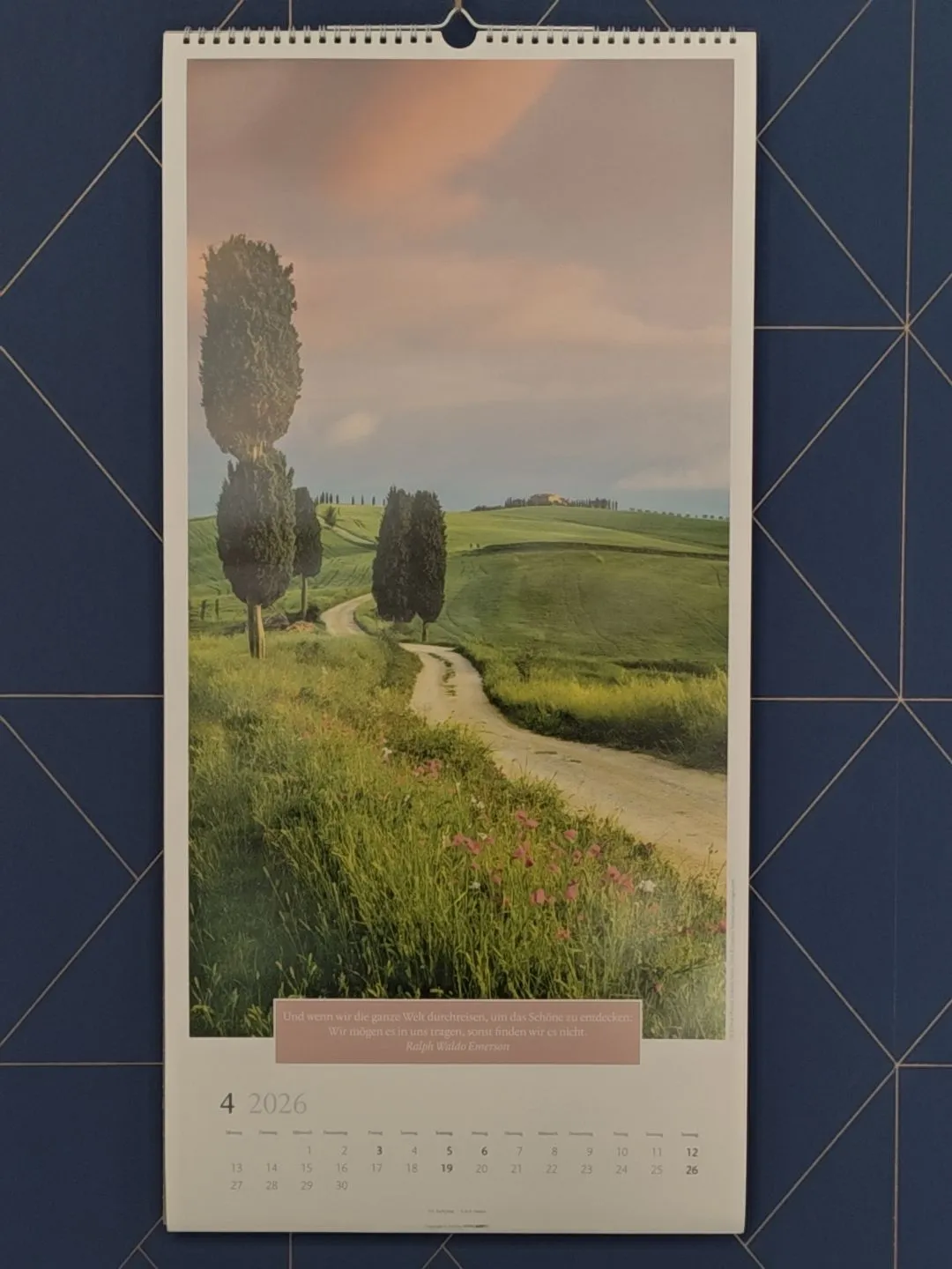 金松四月休息日