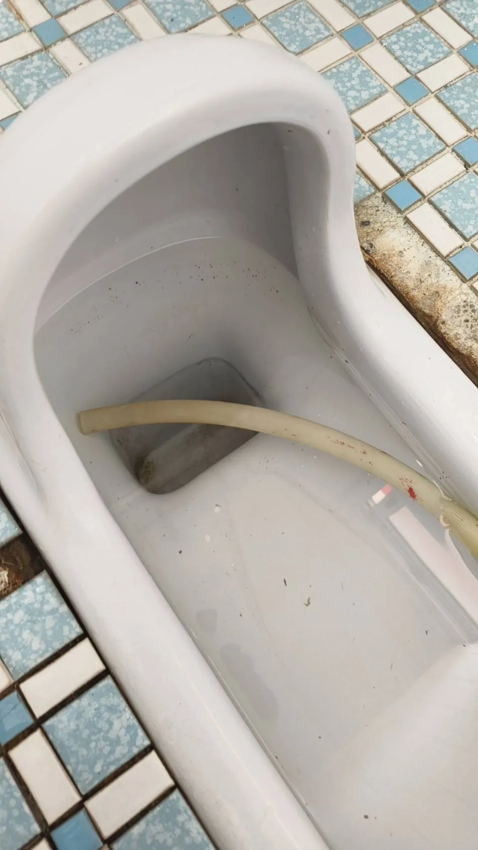 白河區通馬桶