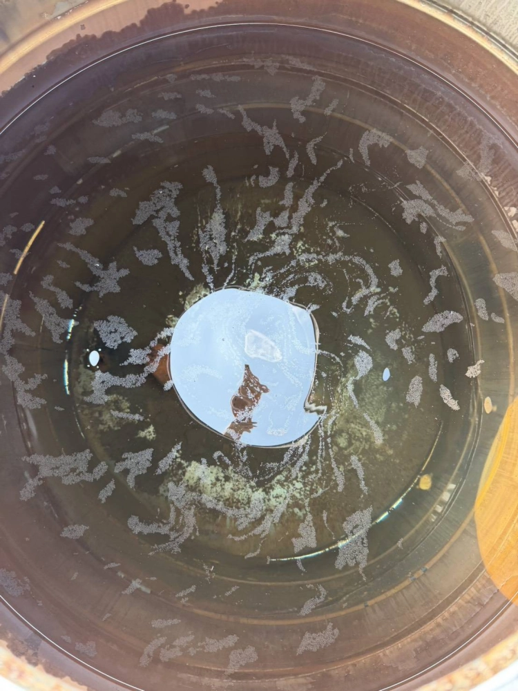 新營區清洗水塔