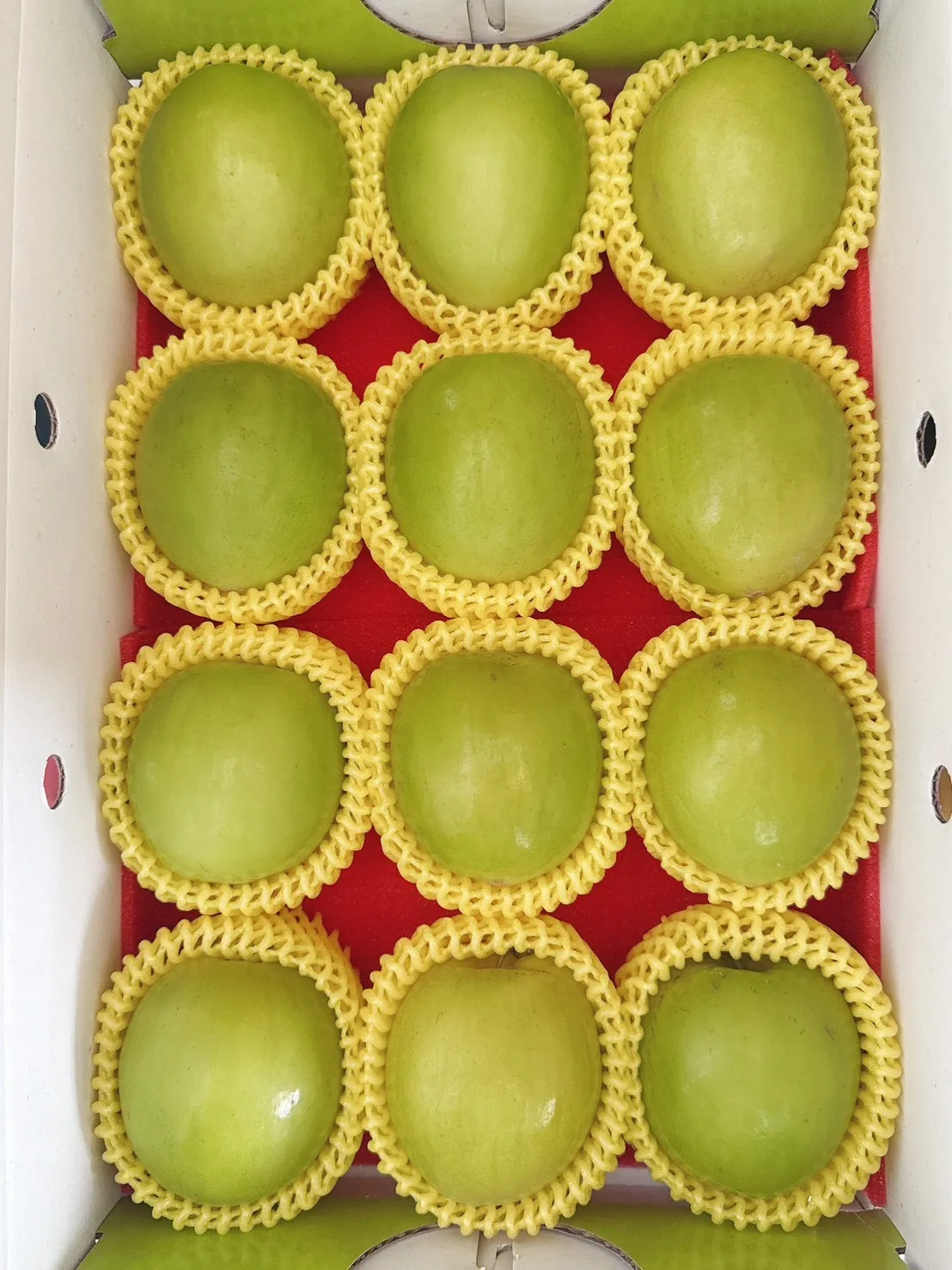 蜜棗禮盒平面禮盒款800