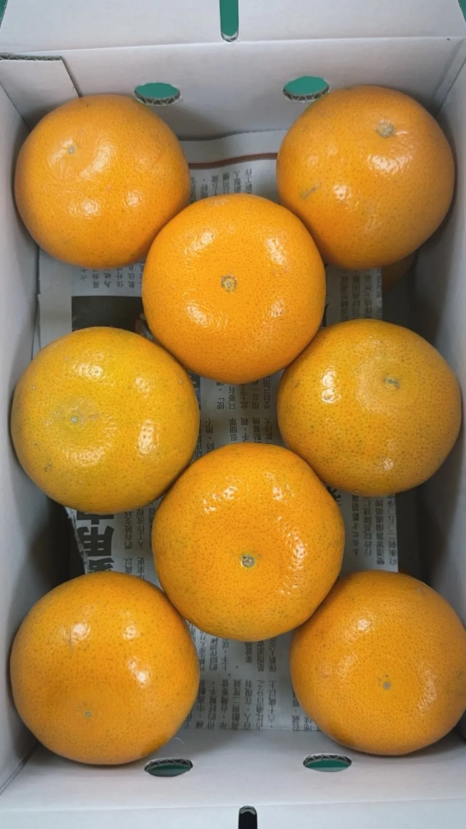 茂谷柑禮盒(手提款)25A