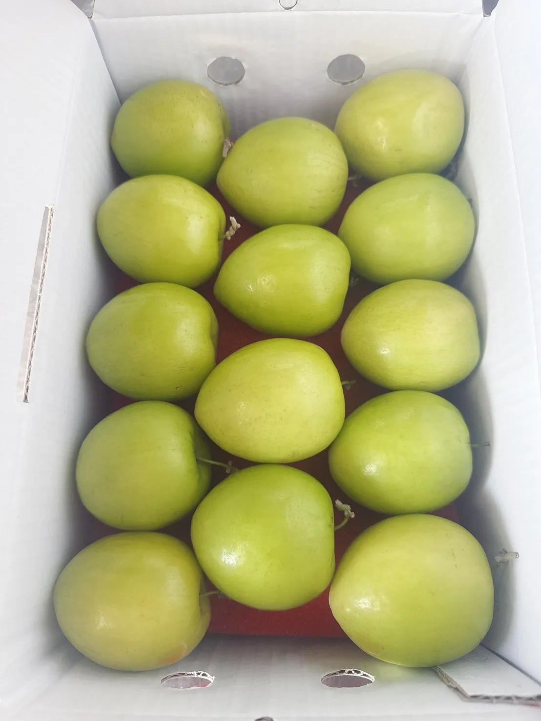 蜜棗禮盒(手提款)