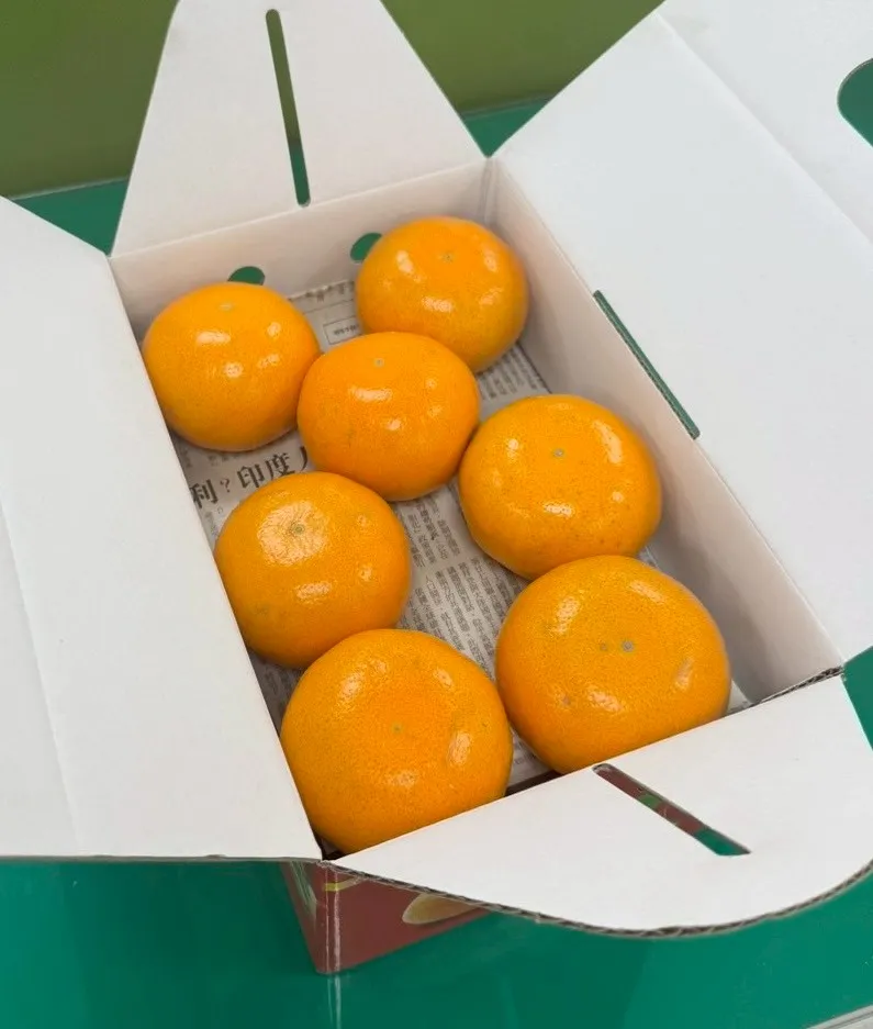 茂谷柑禮盒-手提禮盒款（1盒5斤裝）