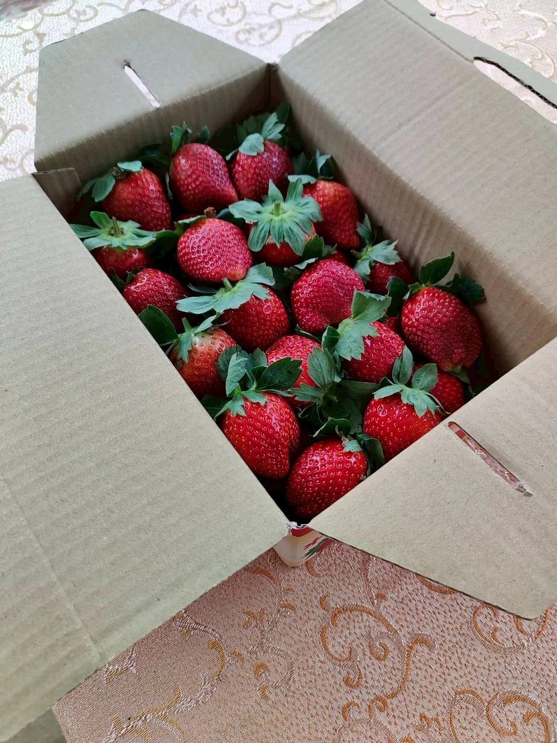 草莓禮盒-手提1斤禮盒款中果（含運）
