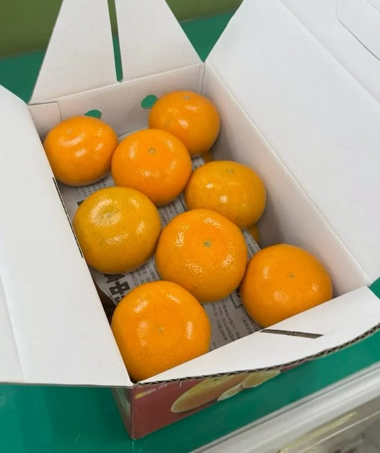 茂谷柑禮盒-手提禮盒款（1盒5斤裝）