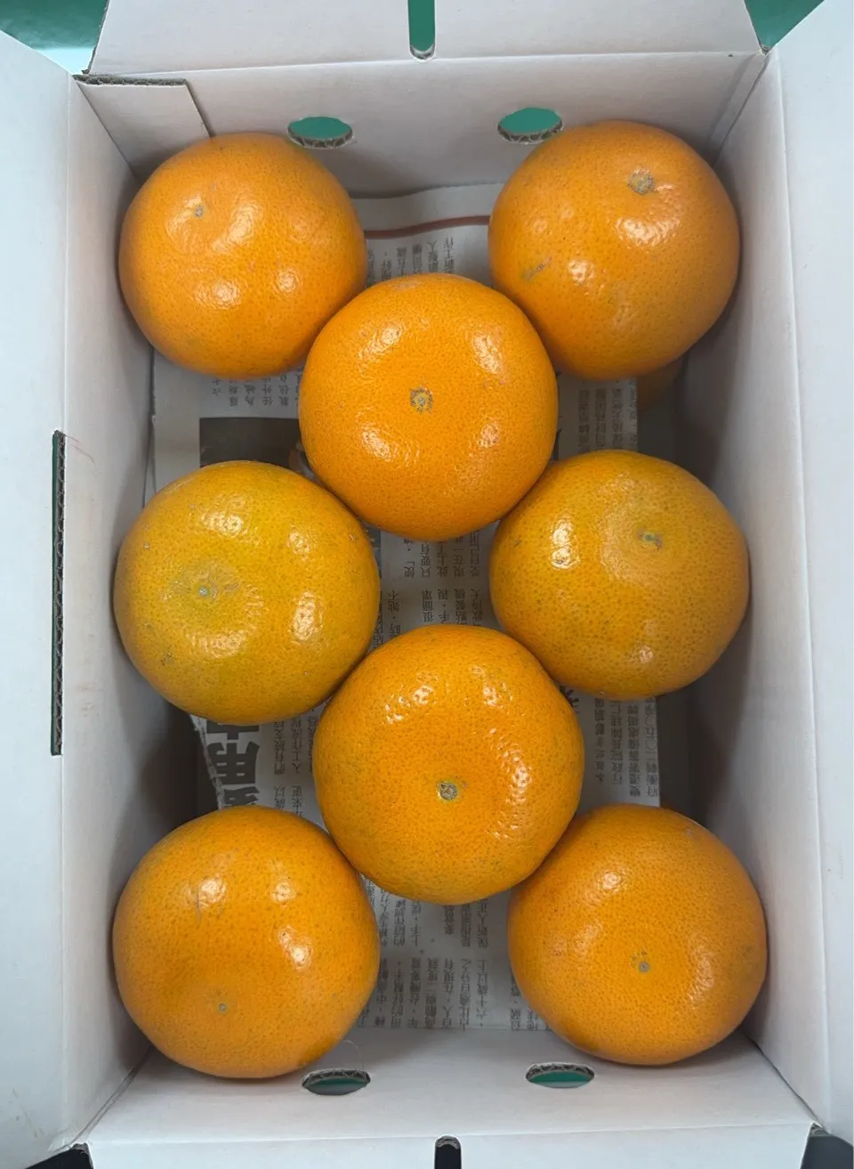 茂谷柑禮盒(手提款)25A