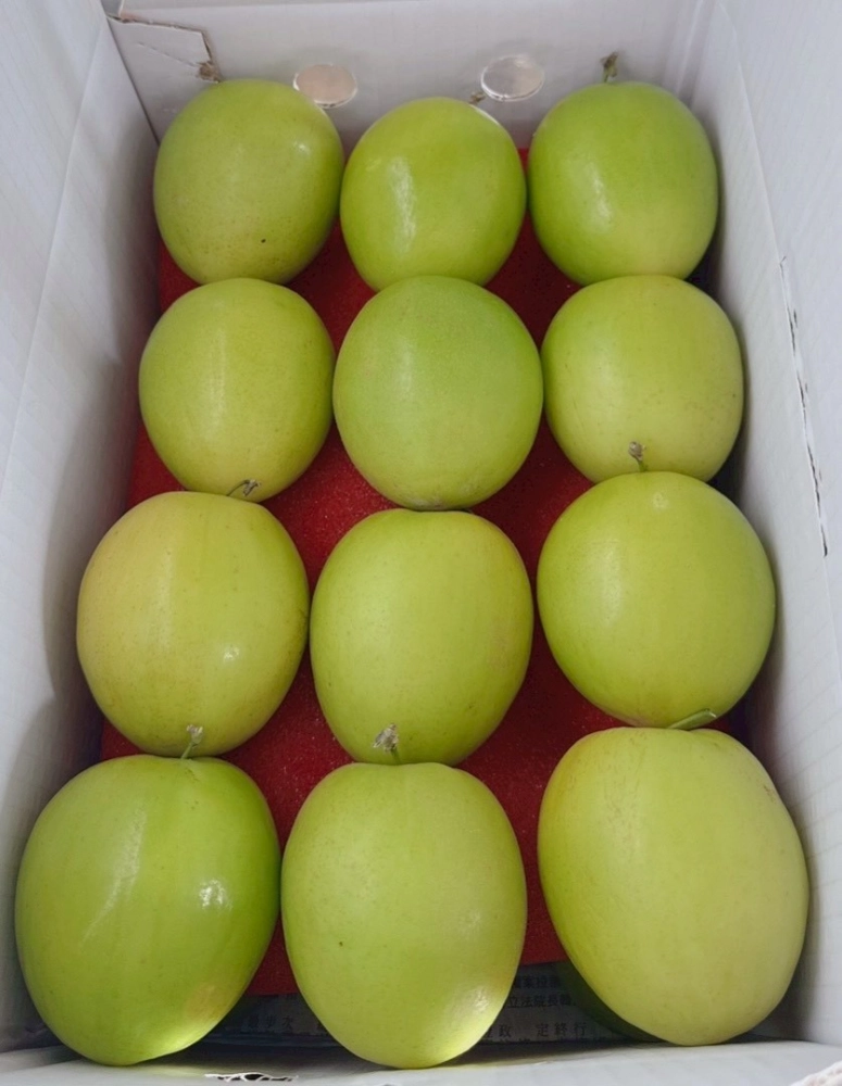 蜜棗禮盒手提禮盒款700