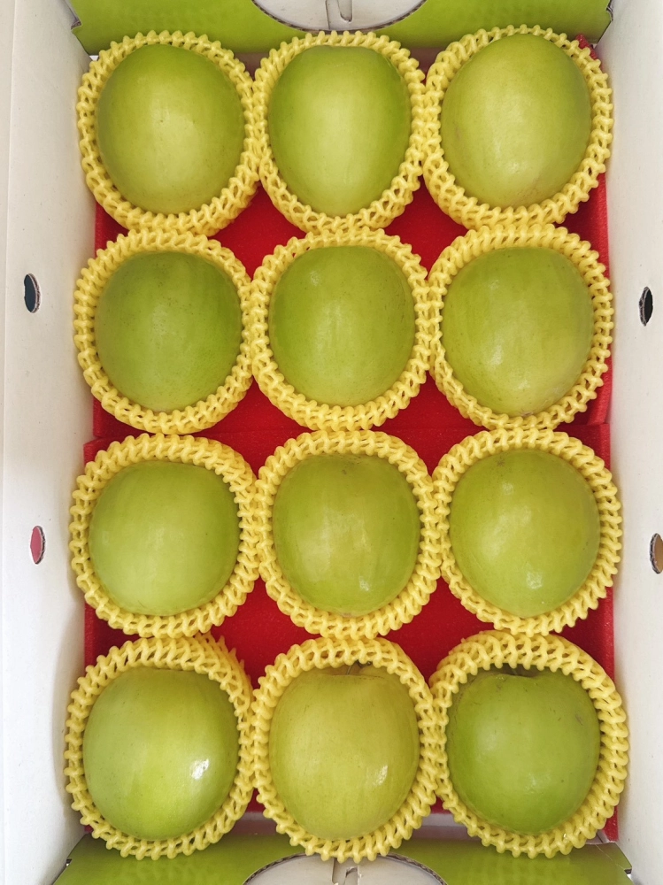 蜜棗禮盒平面禮盒款800