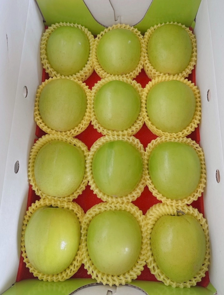 蜜棗禮盒平面禮盒款1000