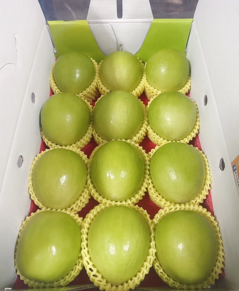 蜜棗禮盒平面禮盒款1200