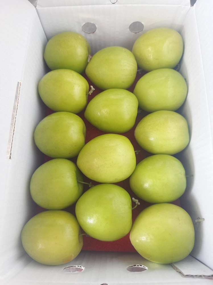 蜜棗禮盒(手提款)