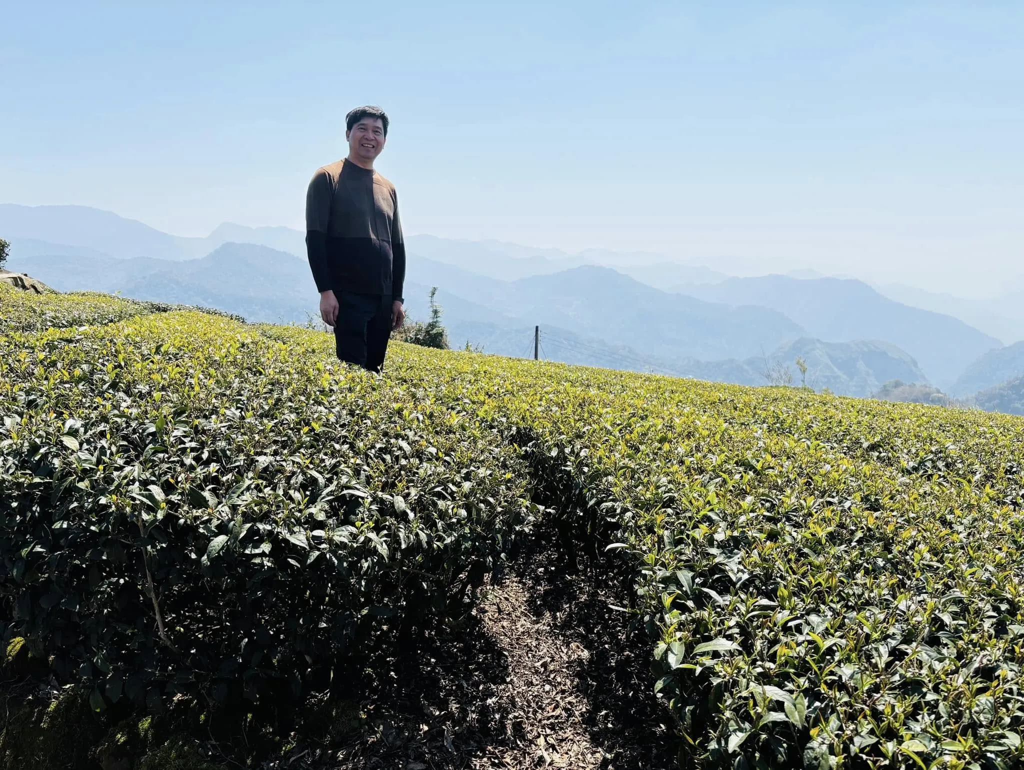 老闆巡視茶園中～～～｜嘉義高山茶專賣店｜民雄高山茶專賣店