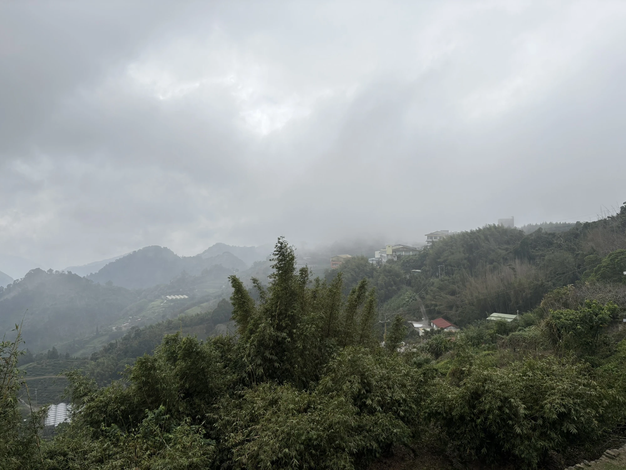 嘉義茶園/嘉義茶廠