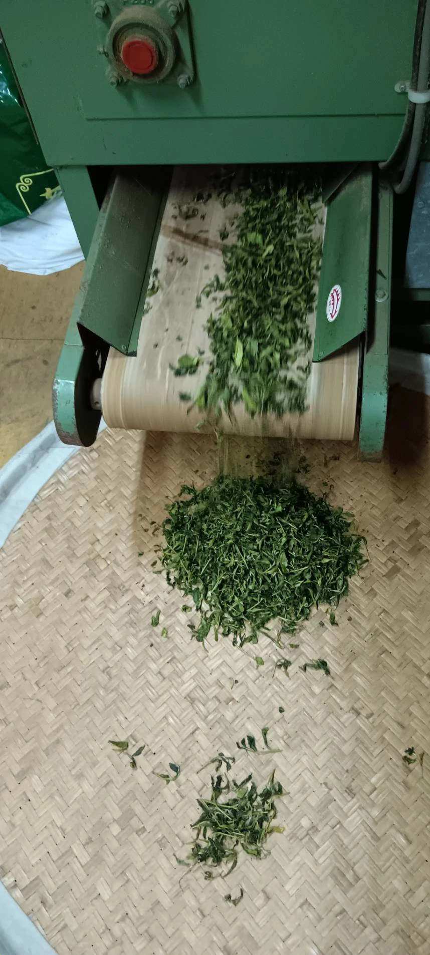 2026 冬茶流程 || 嘉義茶葉推薦