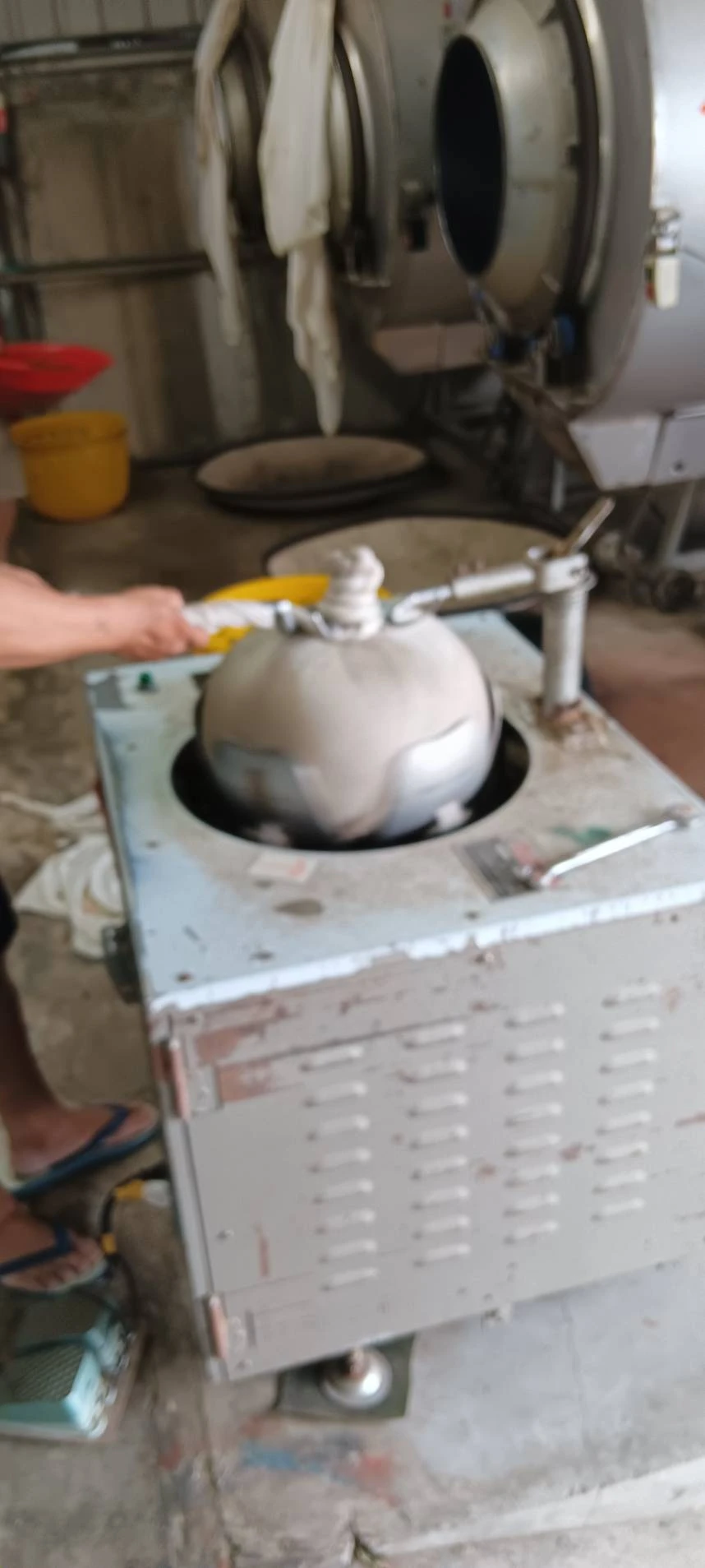 2026 冬茶流程 || 嘉義茶葉推薦